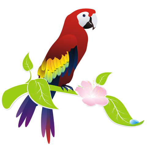 little-poll-parrot.jpg