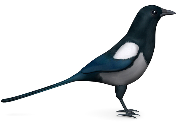 one-for-sorrow.jpg