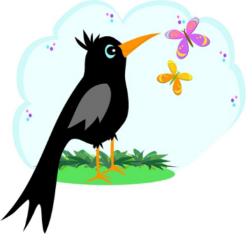 rockin-robin.jpg