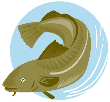fresh-fried-fish.jpg