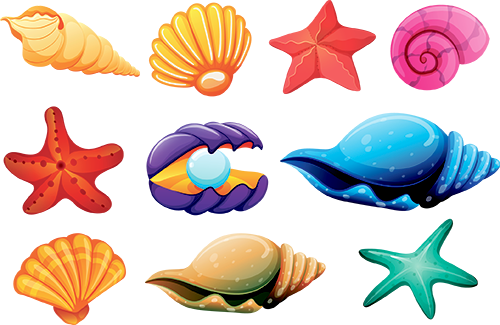 she-sells-seashells.png