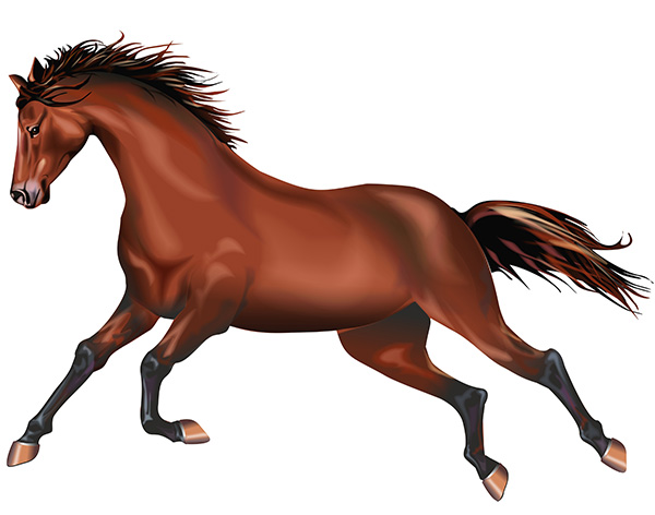 if-wishes-were-horses.jpg