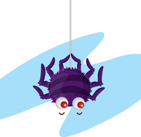 itsy-bitsy-spider.jpg